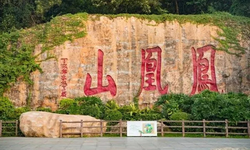 有直達(dá)的地鐵到深圳鳳凰山嗎 鳳凰山有公交車(chē)上去嗎